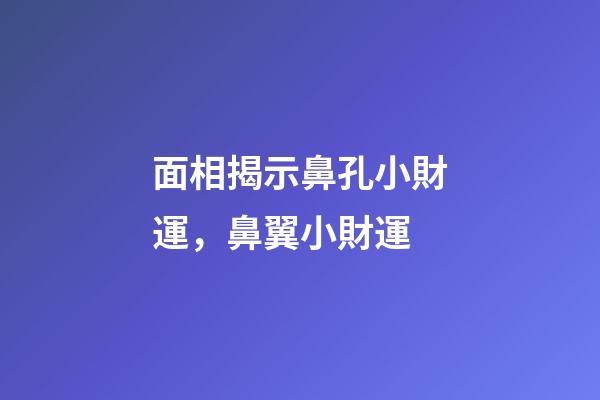 面相揭示鼻孔小財運，鼻翼小財運