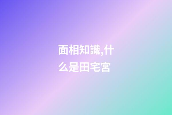 面相知識,什么是田宅宮