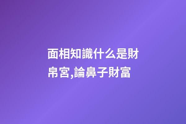 面相知識什么是財帛宮,論鼻子財富