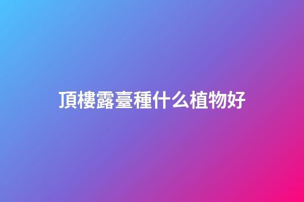 頂樓露臺種什么植物好