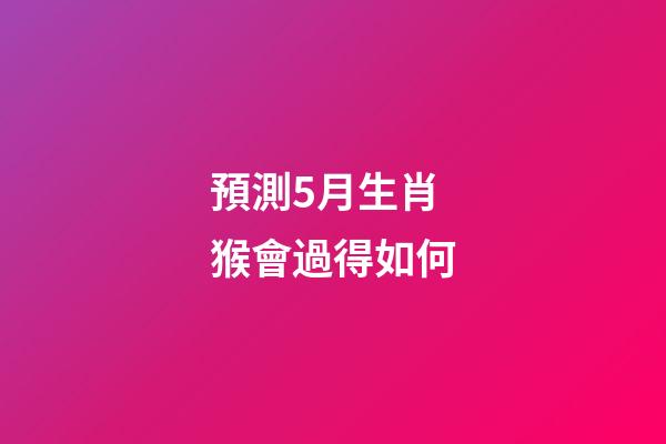 預測5月生肖猴會過得如何