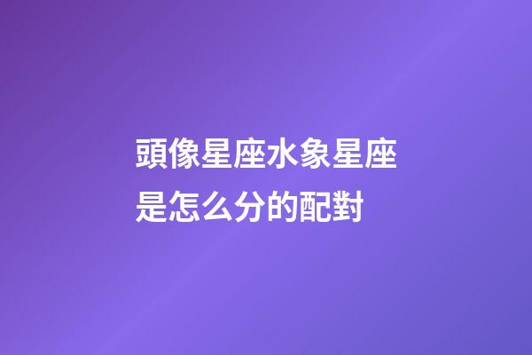 頭像星座水象星座是怎么分的配對-第1張-星座運勢-玄機派
