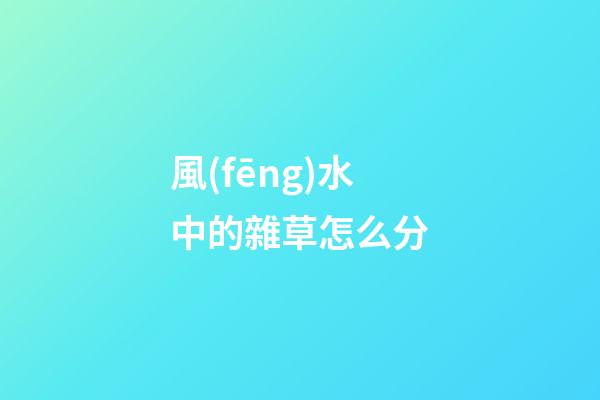 風(fēng)水中的雜草怎么分
