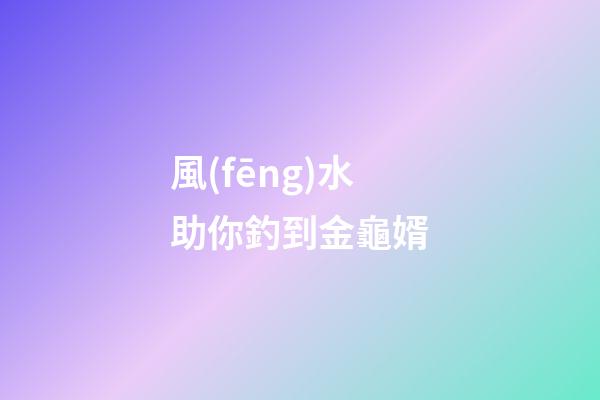 風(fēng)水助你釣到金龜婿
