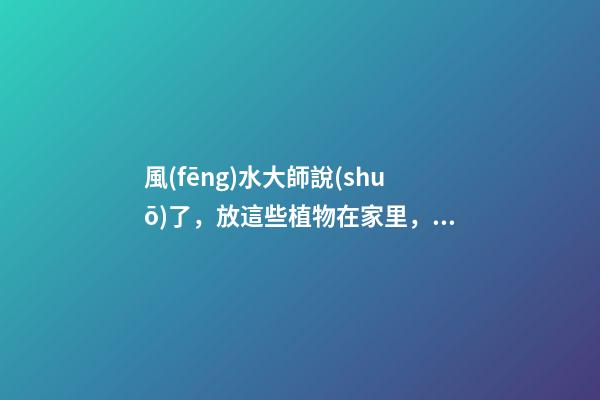 風(fēng)水大師說(shuō)了，放這些植物在家里，不僅家人健康！還招財(cái)旺運(yùn)！