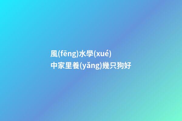 風(fēng)水學(xué)中家里養(yǎng)幾只狗好