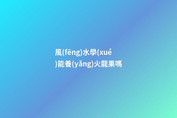 風(fēng)水學(xué)能養(yǎng)火龍果嗎