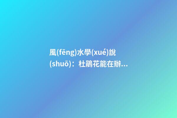 風(fēng)水學(xué)說(shuō)：杜鵑花能在辦公室養(yǎng)嗎？