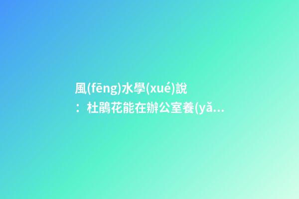 風(fēng)水學(xué)說：杜鵑花能在辦公室養(yǎng)嗎？