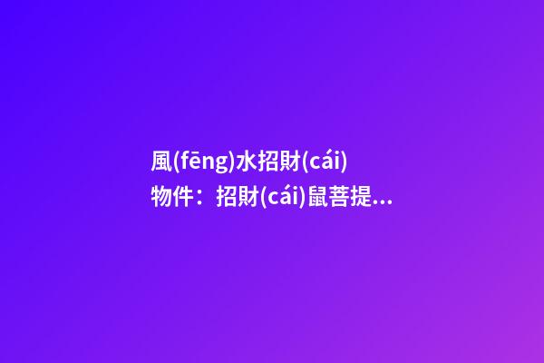 風(fēng)水招財(cái)物件：招財(cái)鼠菩提子怎么盤