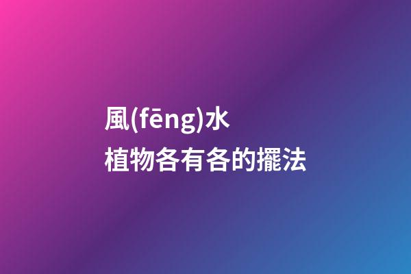 風(fēng)水植物各有各的擺法