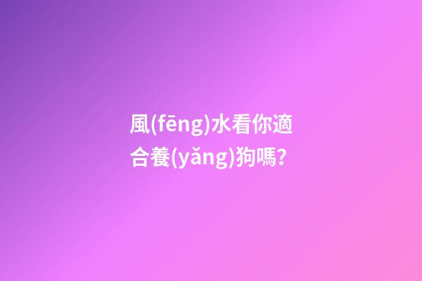 風(fēng)水看你適合養(yǎng)狗嗎？