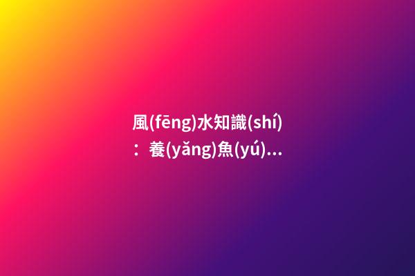 風(fēng)水知識(shí)：養(yǎng)魚(yú)6大風(fēng)水禁忌