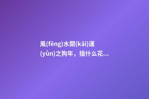 風(fēng)水開(kāi)運(yùn)之狗年，插什么花可以行好運(yùn)？