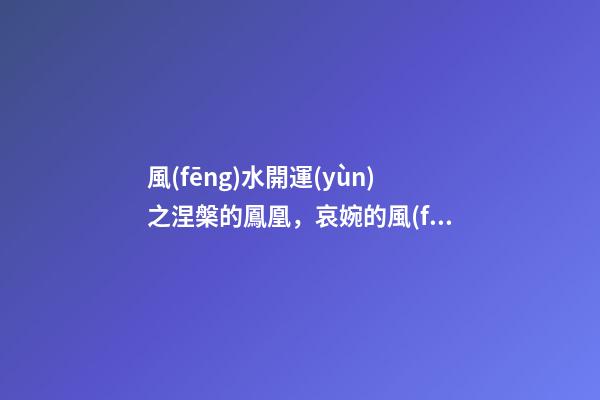 風(fēng)水開運(yùn)之涅槃的鳳凰，哀婉的風(fēng)水