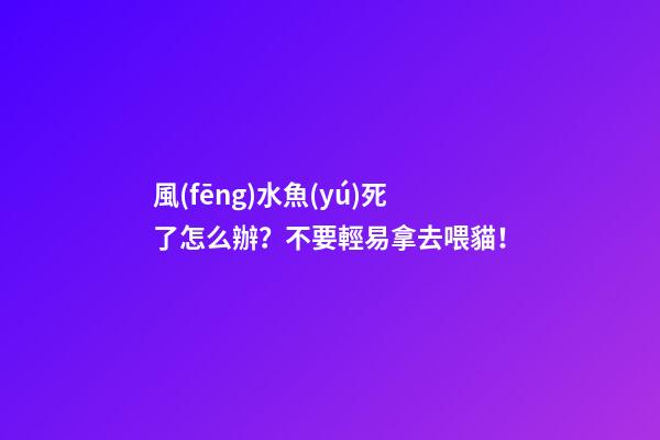 風(fēng)水魚(yú)死了怎么辦？不要輕易拿去喂貓！