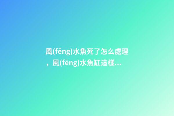 風(fēng)水魚死了怎么處理，風(fēng)水魚缸這樣布置才合適
