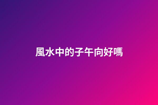 風水中的子午向好嗎