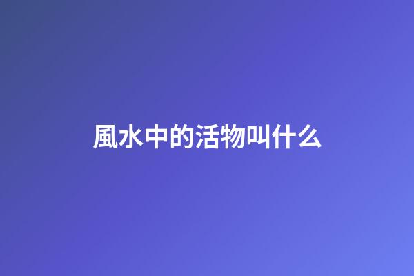 風水中的活物叫什么
