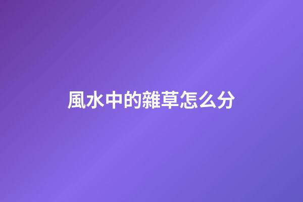 風水中的雜草怎么分
