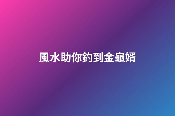 風水助你釣到金龜婿