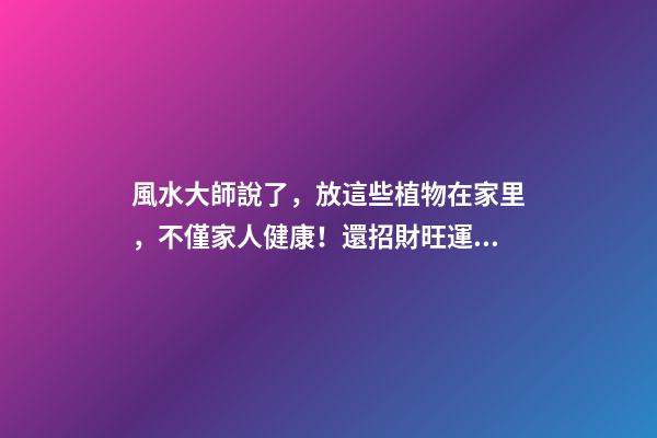 風水大師說了，放這些植物在家里，不僅家人健康！還招財旺運！