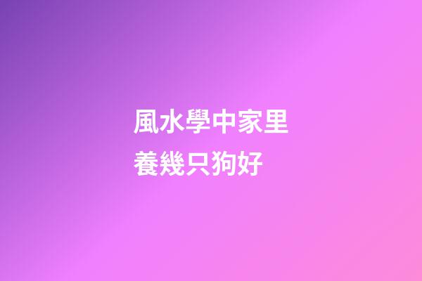 風水學中家里養幾只狗好