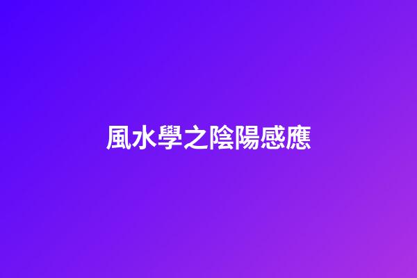 風水學之陰陽感應