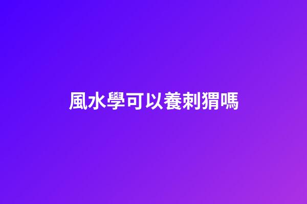 風水學可以養刺猬嗎