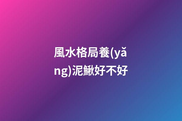 風水格局養(yǎng)泥鰍好不好