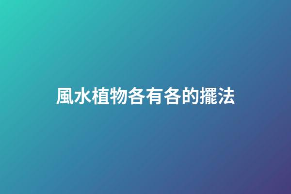 風水植物各有各的擺法
