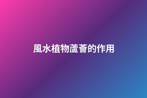風水植物蘆薈的作用