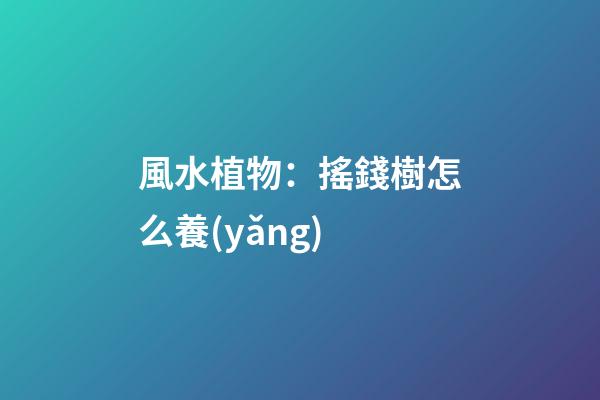 風水植物：搖錢樹怎么養(yǎng)