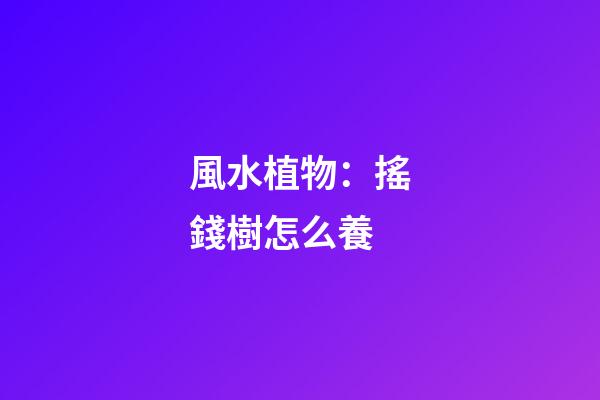 風水植物：搖錢樹怎么養