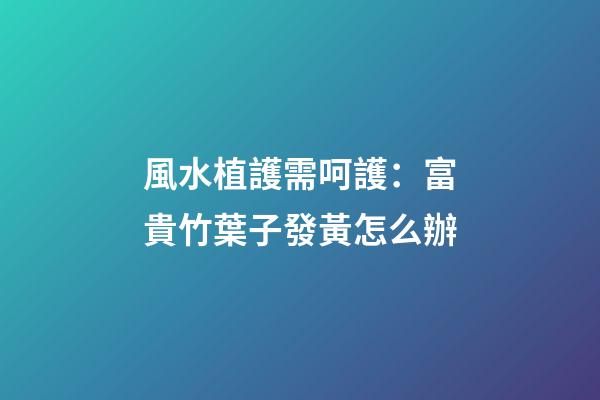 風水植護需呵護：富貴竹葉子發黃怎么辦