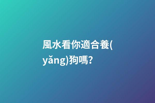 風水看你適合養(yǎng)狗嗎？