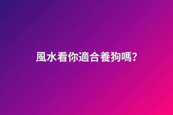 風水看你適合養狗嗎？
