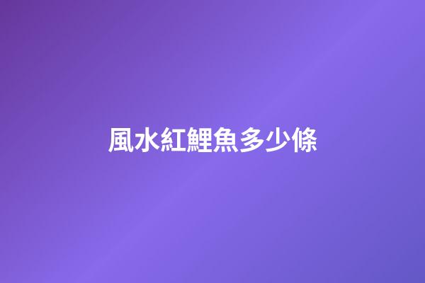 風水紅鯉魚多少條