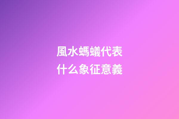 風水螞蟻代表什么象征意義