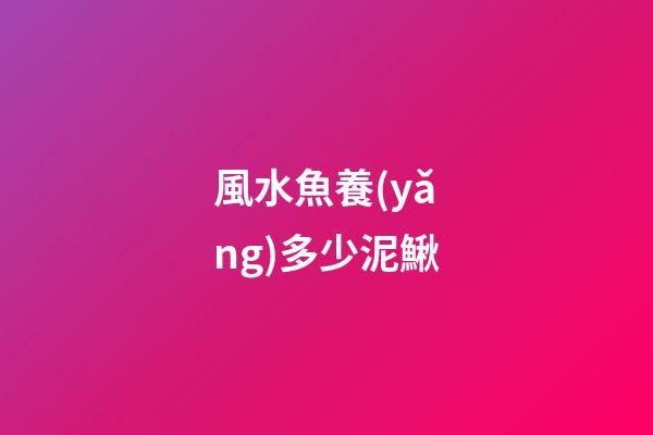風水魚養(yǎng)多少泥鰍