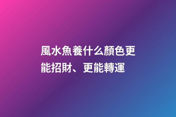 風水魚養什么顏色更能招財、更能轉運