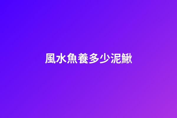 風水魚養多少泥鰍