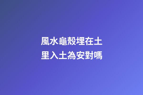 風水龜殼埋在土里入土為安對嗎