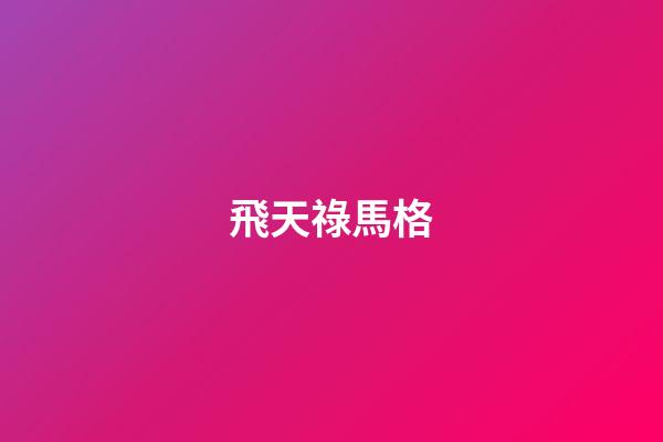 飛天祿馬格