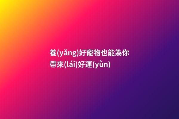 養(yǎng)好寵物也能為你帶來(lái)好運(yùn)