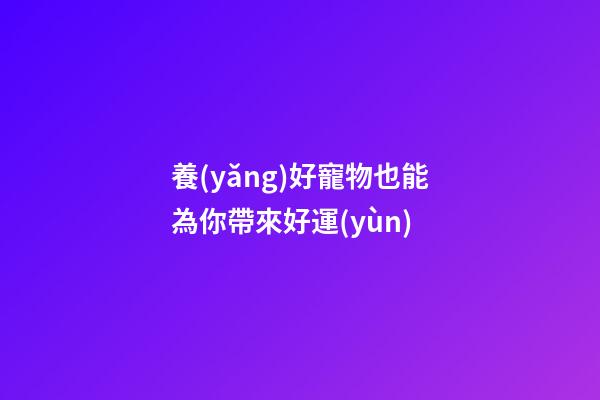 養(yǎng)好寵物也能為你帶來好運(yùn)