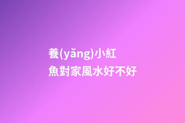 養(yǎng)小紅魚對家風水好不好