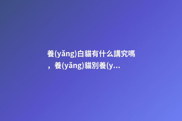 養(yǎng)白貓有什么講究嗎，養(yǎng)貓別養(yǎng)“黑的”-第1張-觀點(diǎn)-玄機(jī)派