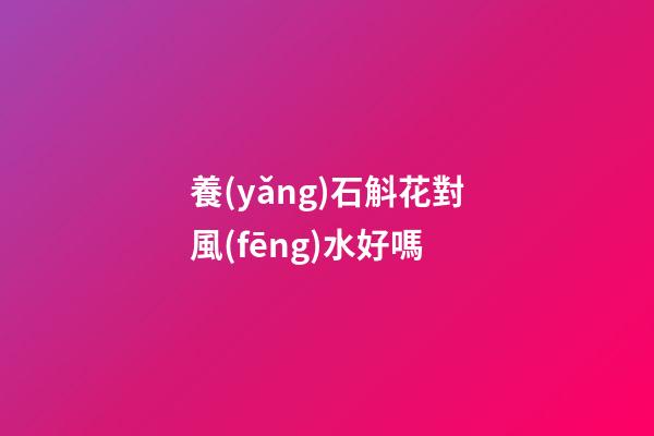 養(yǎng)石斛花對風(fēng)水好嗎