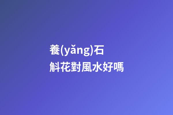養(yǎng)石斛花對風水好嗎